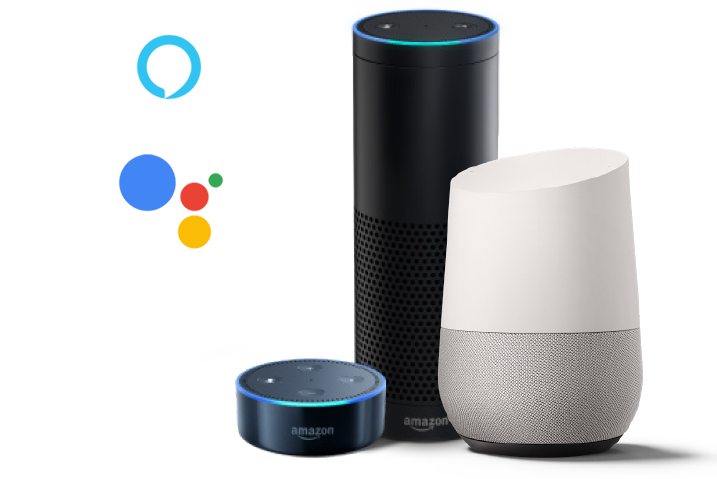 Amazon Alexa in Google Home